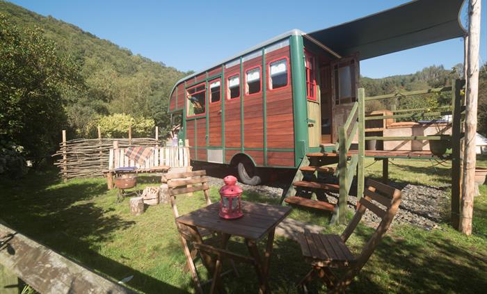 Betty Horsebox